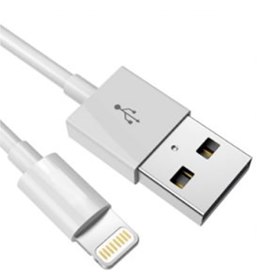 USB A to Lightning C89 Cable