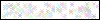 Auth Image