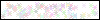 Auth Image