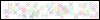 Auth Image