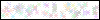 Auth Image