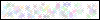 Auth Image