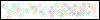 Auth Image