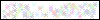 Auth Image