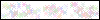 Auth Image