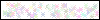 Auth Image