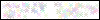 Auth Image